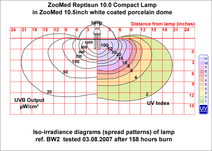 Fig. 16: Iso-irradiance chart: Reptisun 10.0 Compact  Lamp in white porcelain dome