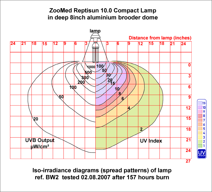 Fig. 17: Iso-irradiance chart: Reptisun 10.0 Compact  Lamp in deep dome
