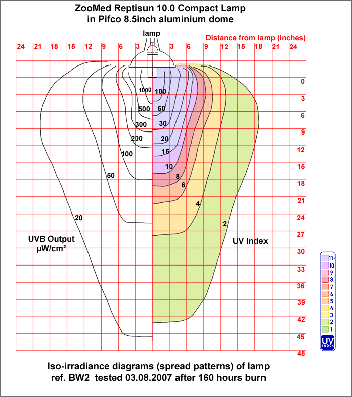 Fig. 19: Iso-irradiance chart: Reptisun 10.0 Compact  Lamp in Pifco dome